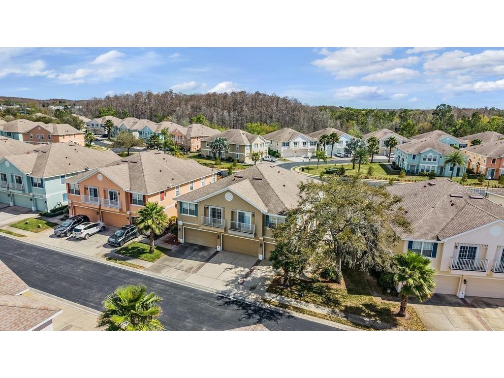 8512 Shallow Creek Court New Port Richey FL 34653 TB8482930 image38