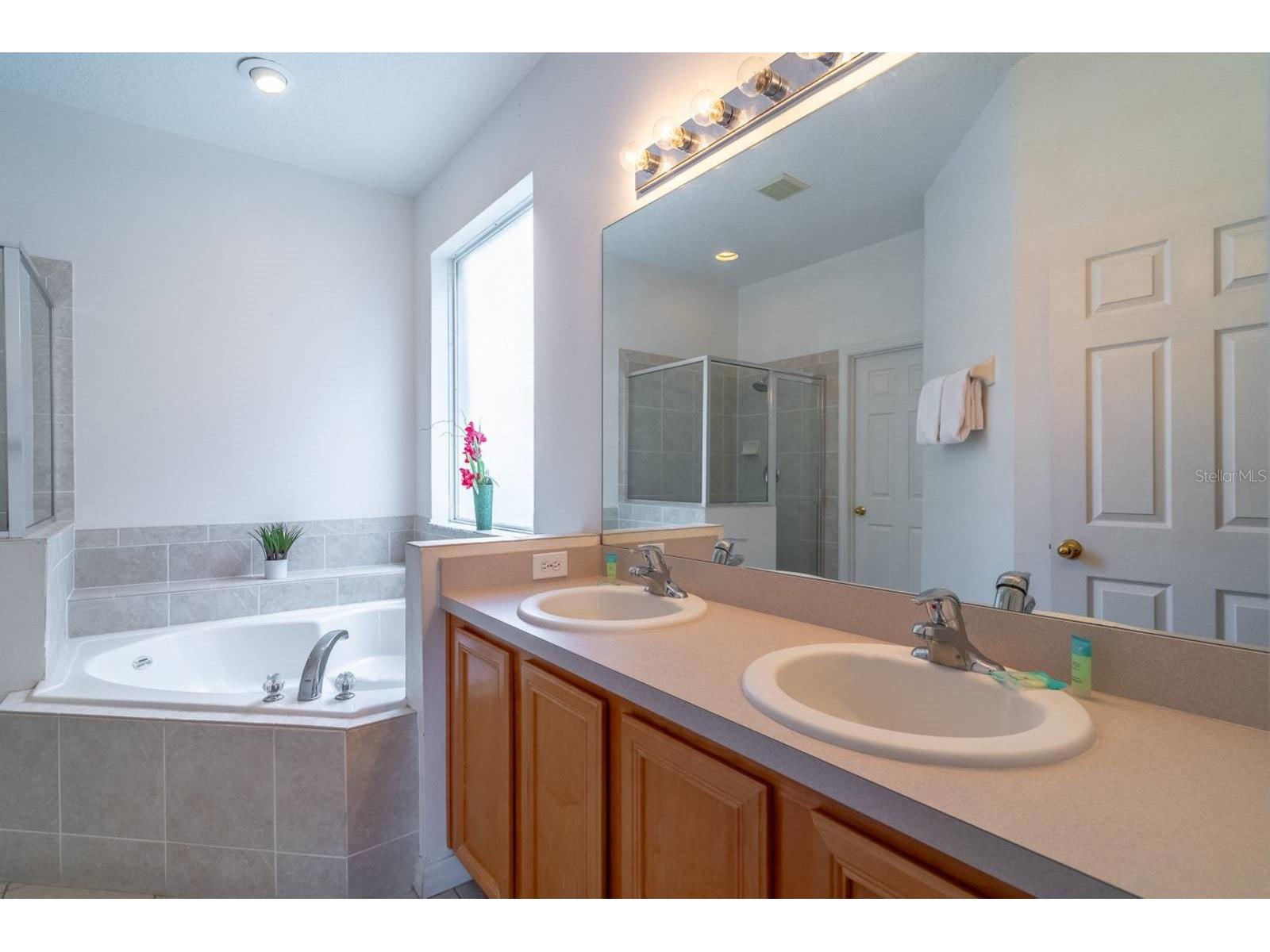 8512 Sunrise Key Drive Kissimmee FL 34747 O6388410 image17