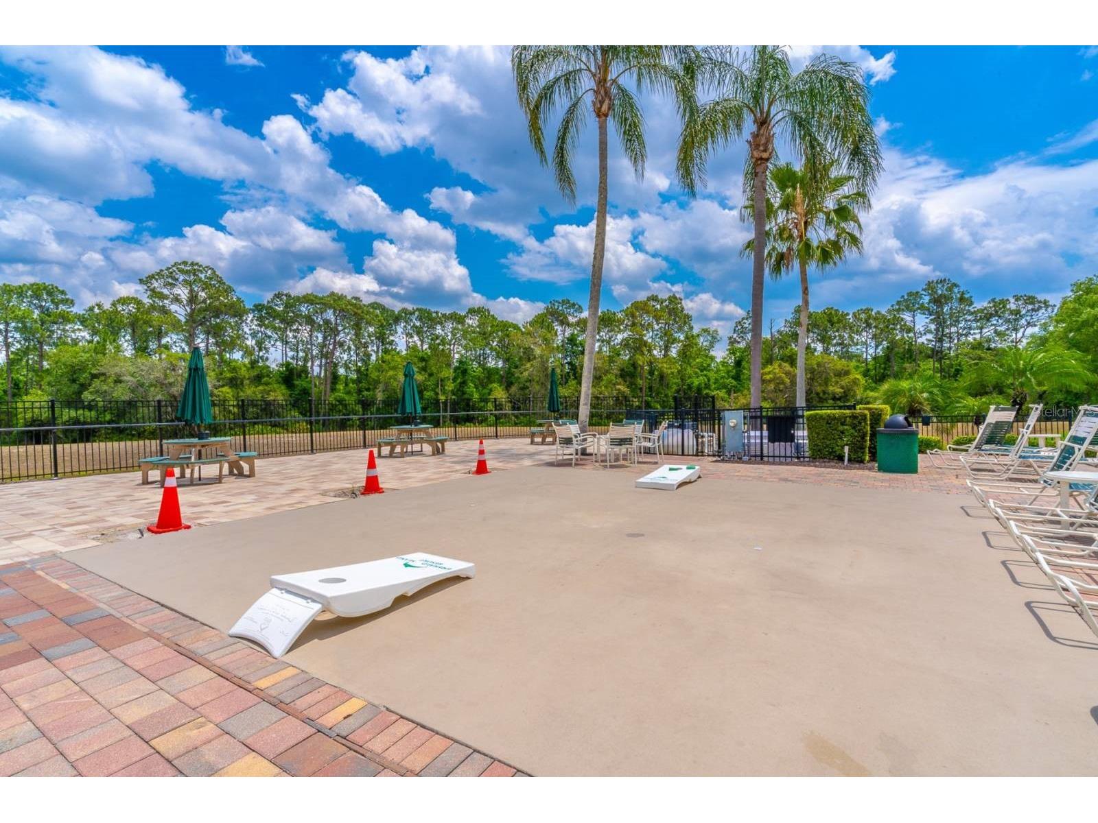 8512 Sunrise Key Drive Kissimmee FL 34747 O6388410 image50
