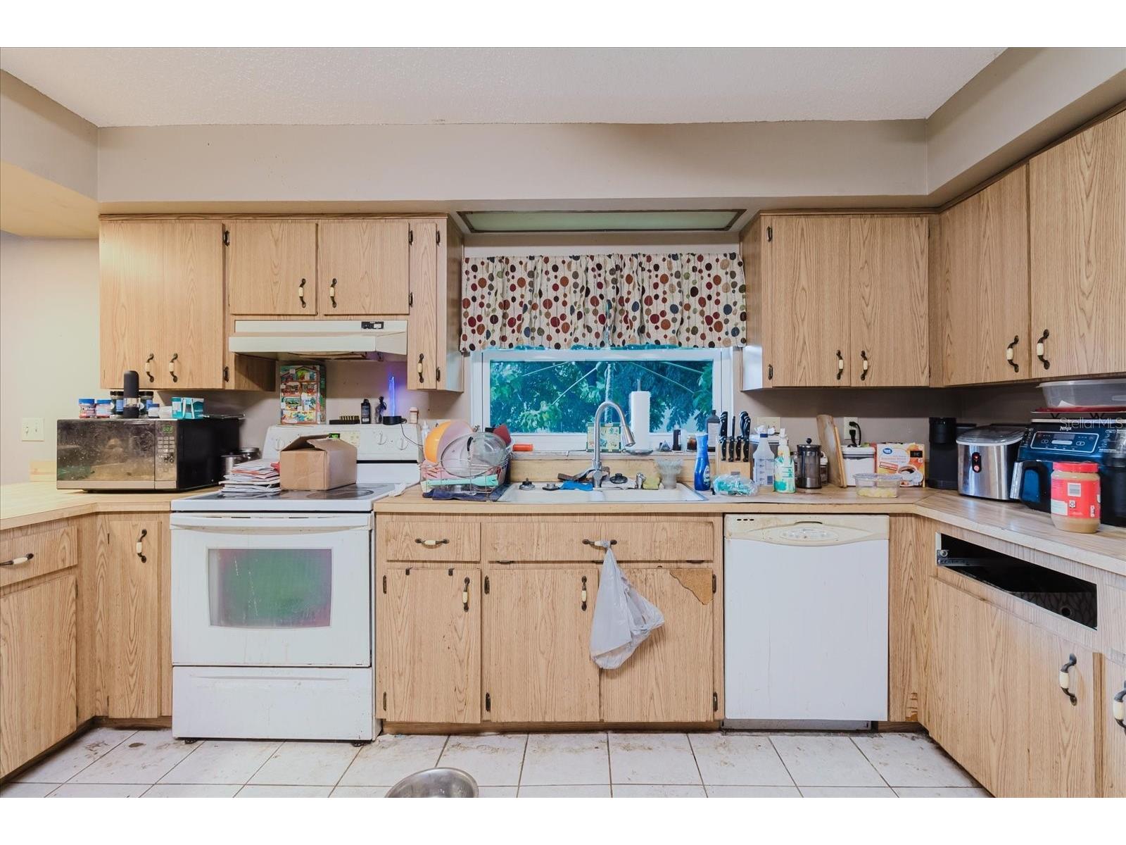 8513 Bella Via Hudson FL 34667 TB8464081 image16