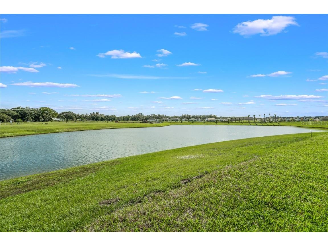 8514 Arrow Creek Dr Parrish FL 34219 TB8417808 image19