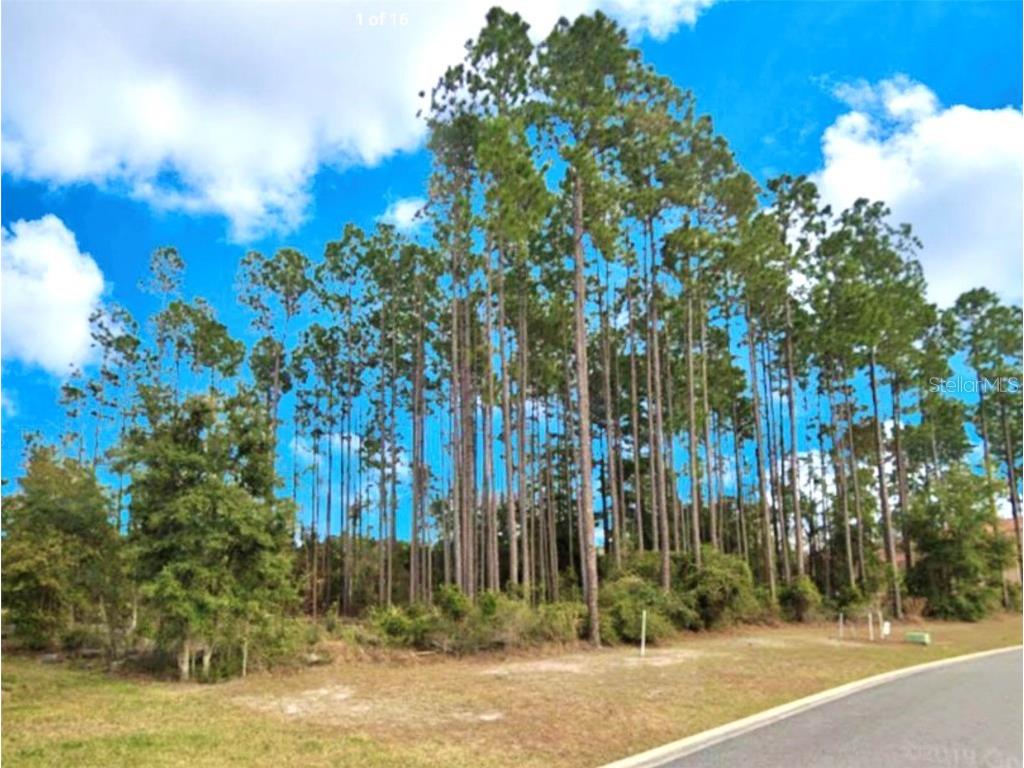 85144 Napeague Drive Fernandina Beach FL 32034 D6138058 image2