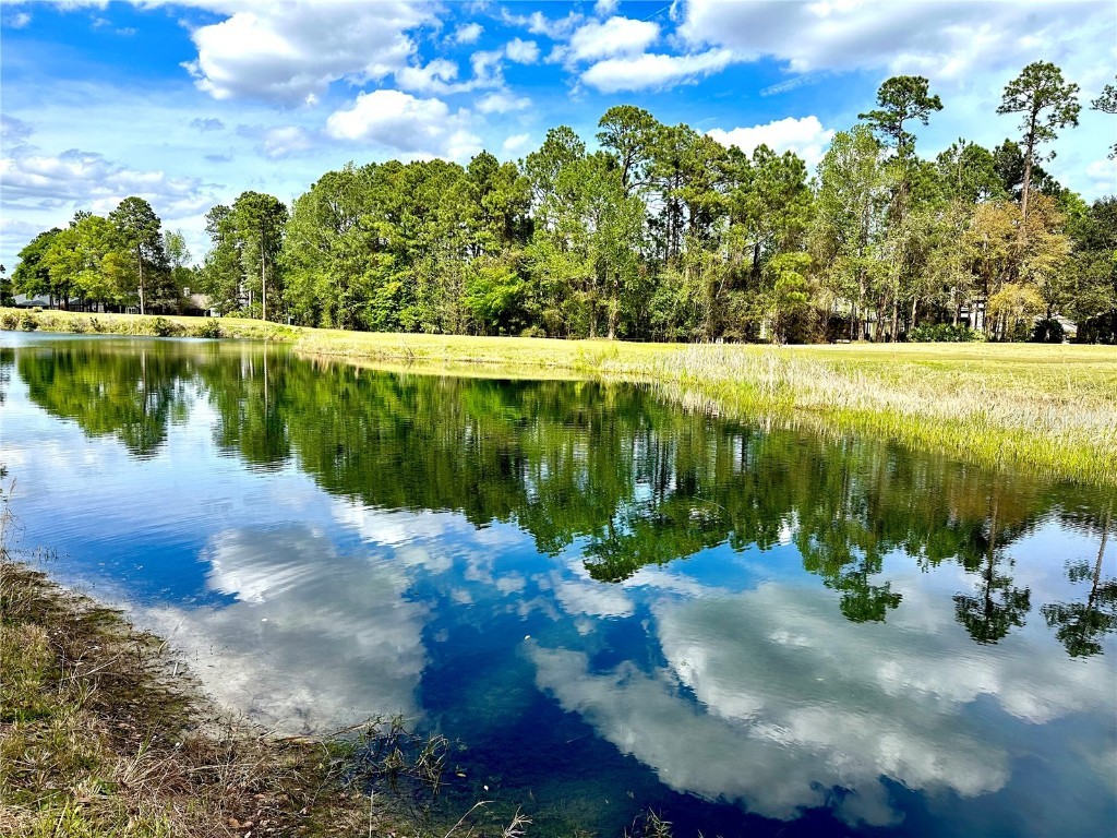 85144 Napeague Drive Fernandina Beach FL 32034 D6138058 image4