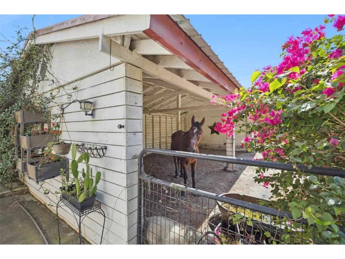 8515 Bay Lake Road Groveland FL 34736 G5103464 image46