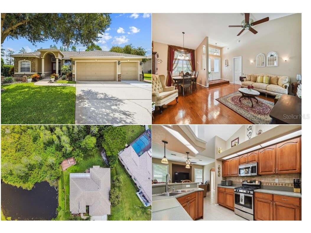 8515 Fenholloway Ct Trinity FL 34655 W7846983 image1