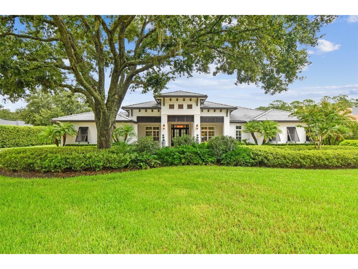 8515 Loch Drive Odessa FL 33556 TB8420770 image1