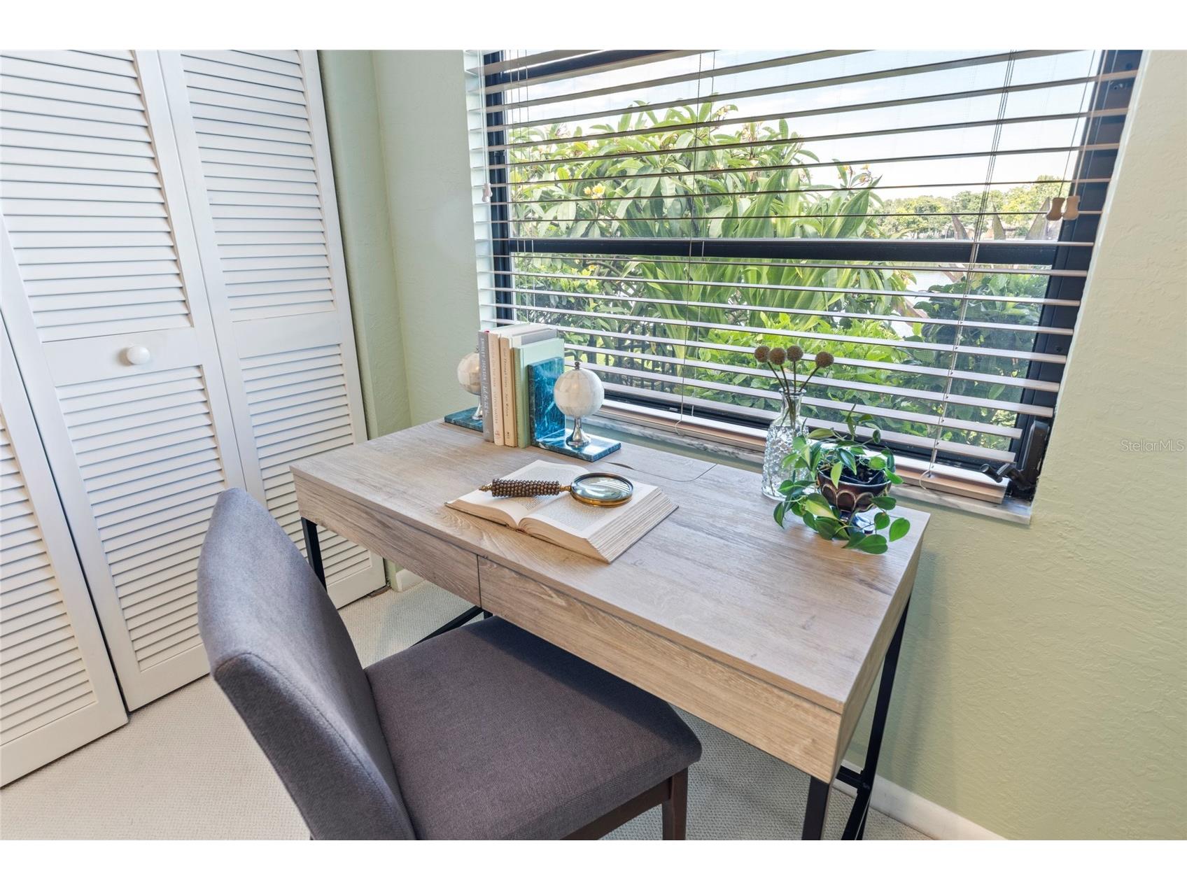 8515 Macoma Drive NE Saint Petersburg FL 33702 TB8396428 image26