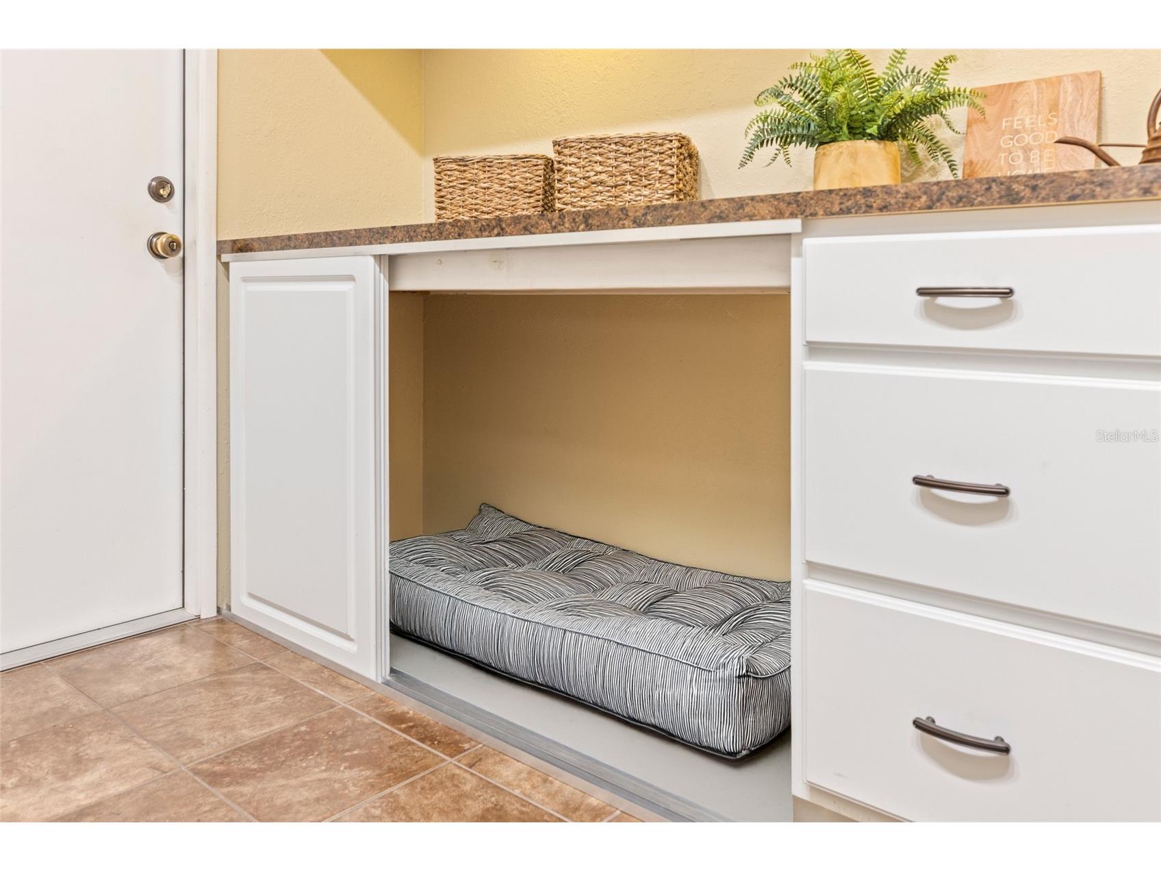 8515 Macoma Drive NE Saint Petersburg FL 33702 TB8396428 image30