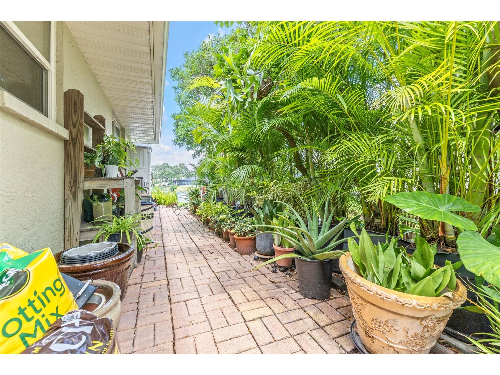 8515 Macoma Drive NE Saint Petersburg FL 33702 TB8396428 image39