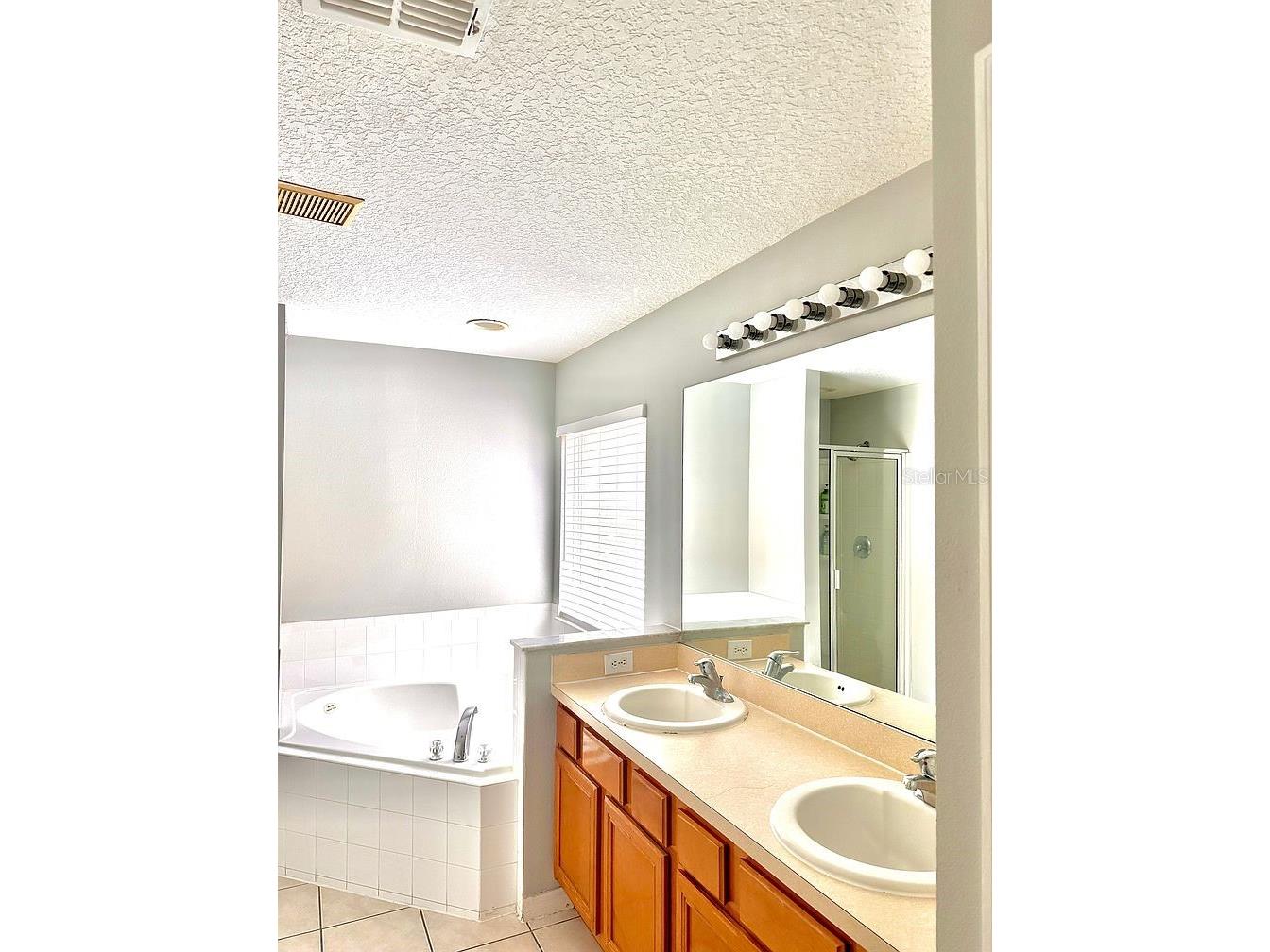 8515 Palm Harbor Drive Kissimmee FL 34747 S5149105 image17