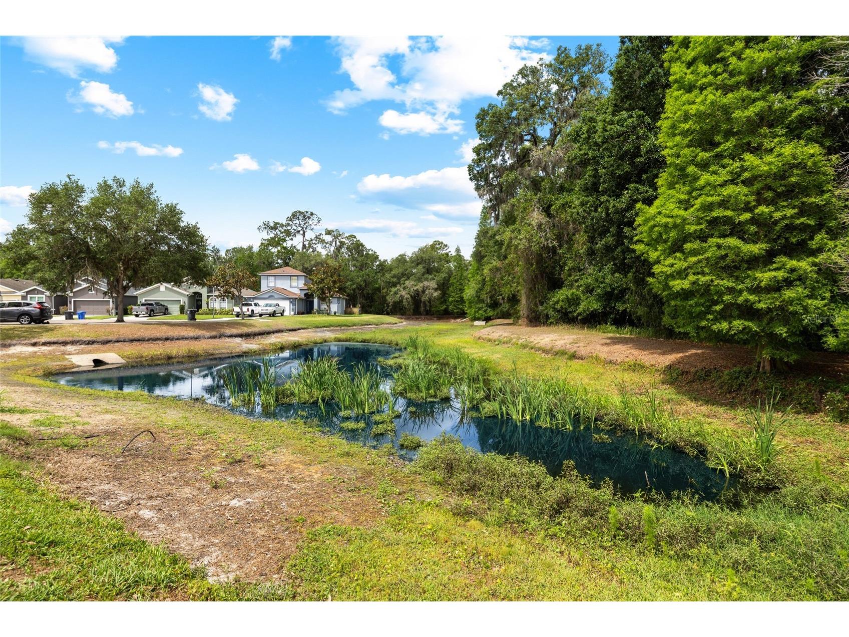 8515 Tidal Breeze Drive Riverview FL 33569 TB8511727 image33