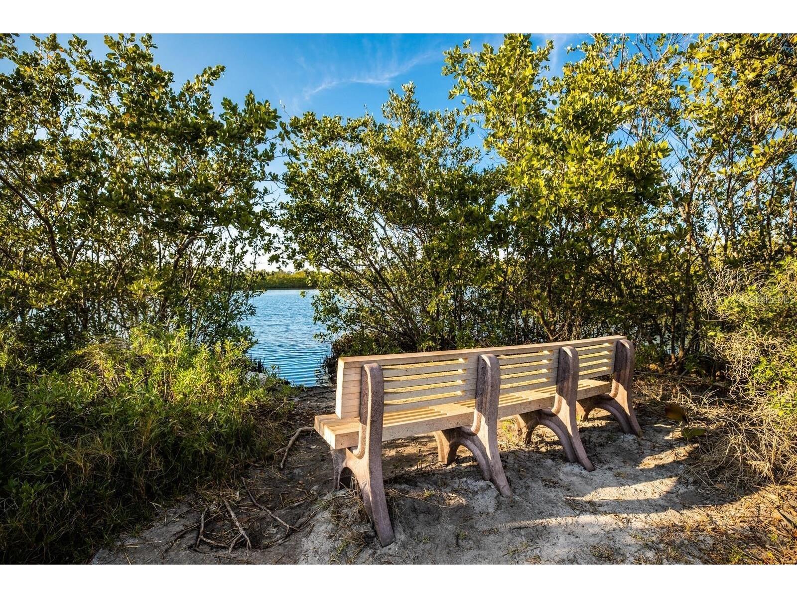 8517 17th Drive NW Bradenton FL 34209 A4677145 image53