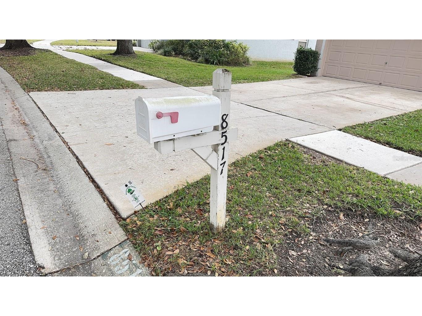 8517 Fawn Creek Drive Tampa FL 33626 TB8457707 image3