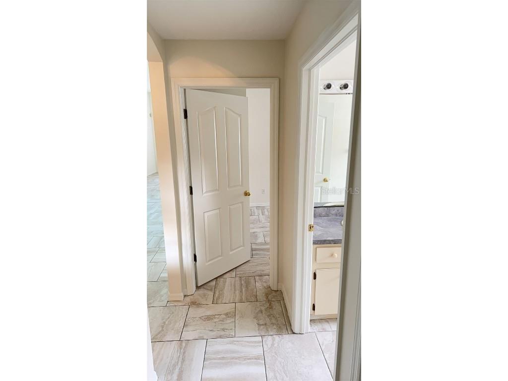 8517 Fawn Creek Drive Tampa FL 33626 TB8457707 image30