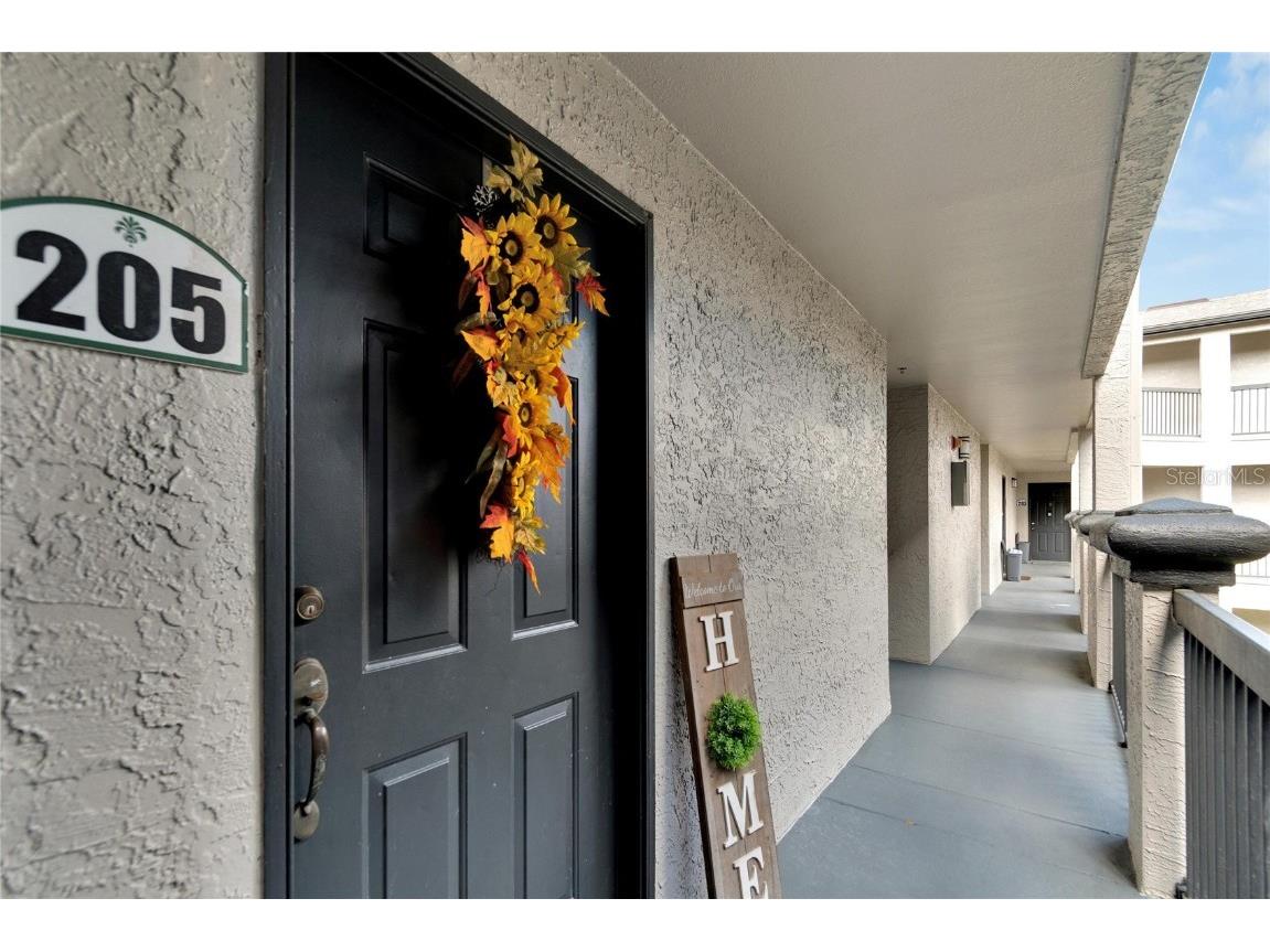 8517 Island Breeze Lane #205 Temple Terrace FL 33637 T3434017 image1