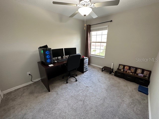 8517 Reedville Street New Port Richey FL 34654 TB8496734 image9