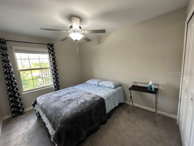 8517 Reedville Street New Port Richey FL 34654 TB8515520 image15