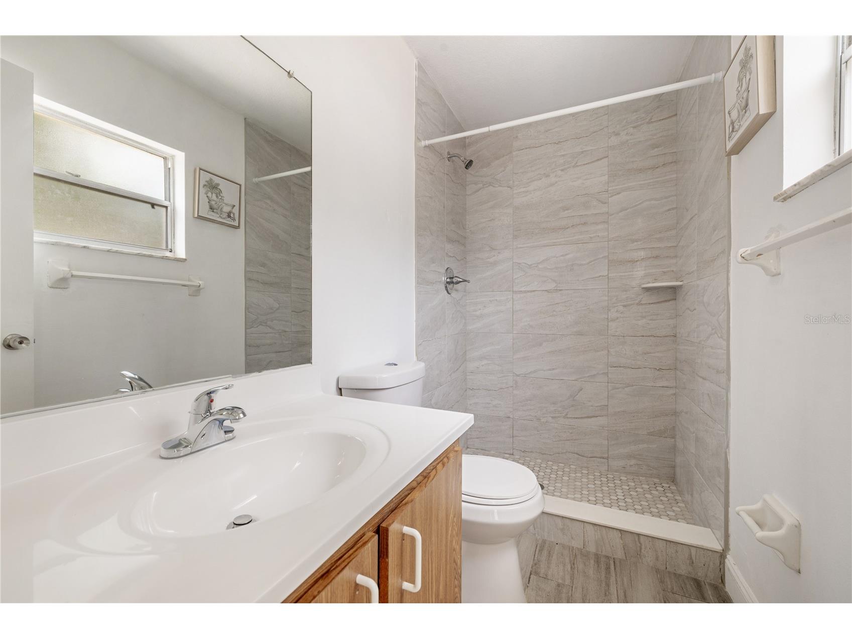 8517 Renald Boulevard Tampa FL 33637 TB8512913 image11