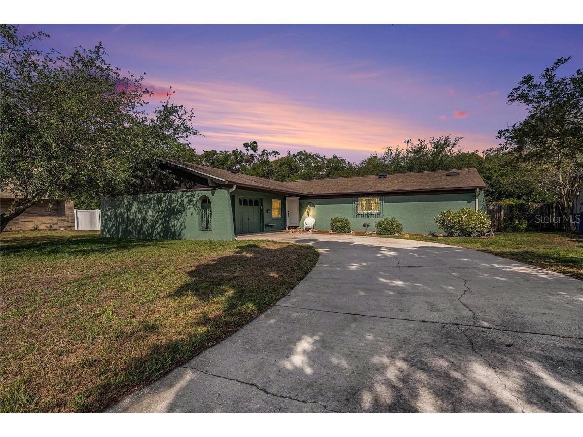 8517 Woodwick Court Tampa FL 33615 - Rocky Creek TB8383007 image1