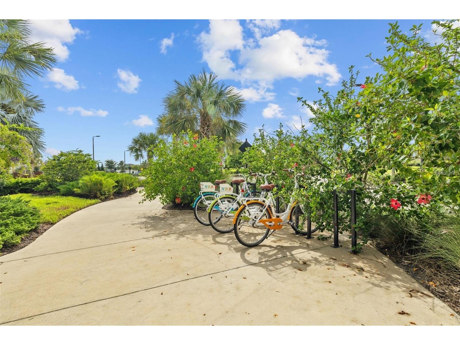 8518 Arrow Creek Drive Parrish FL 34219 A4685712 image82