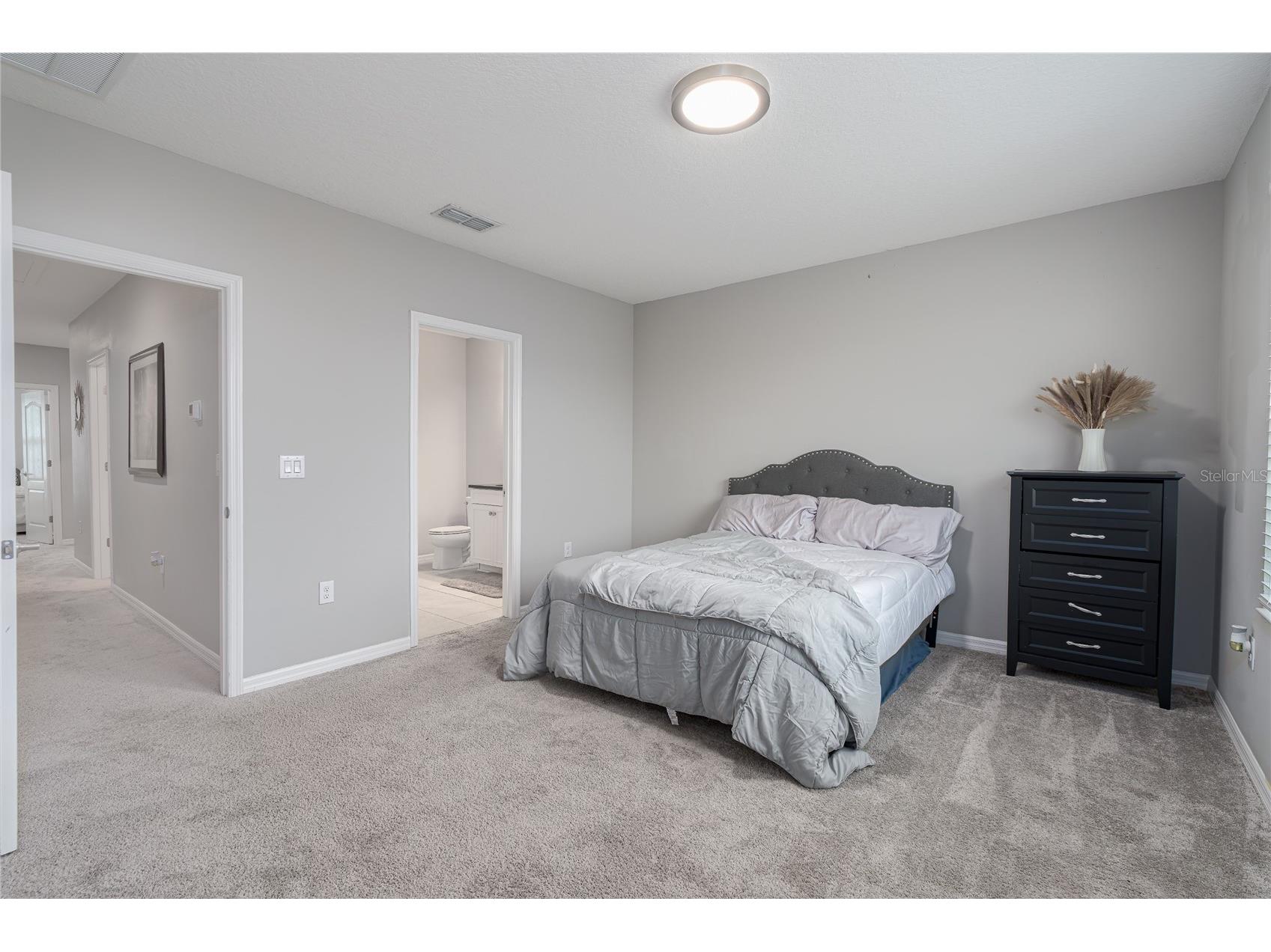 8518 Canyon Creek Trail Parrish FL 34219 A4696573 image17