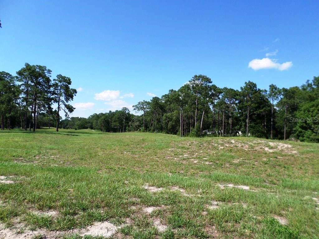 8518 Sw 189th Court Rd Dunnellon FL 34432 OM688678 image12