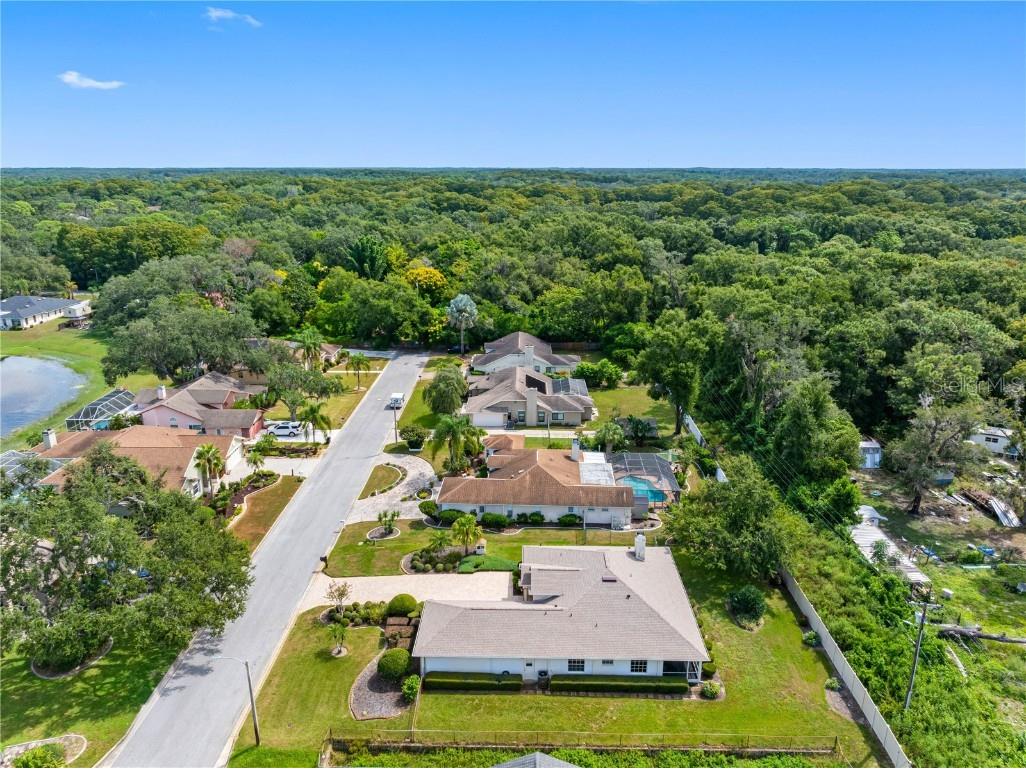 8518 Thrasher Court New Port Richey FL 34654 TB8428568 image53