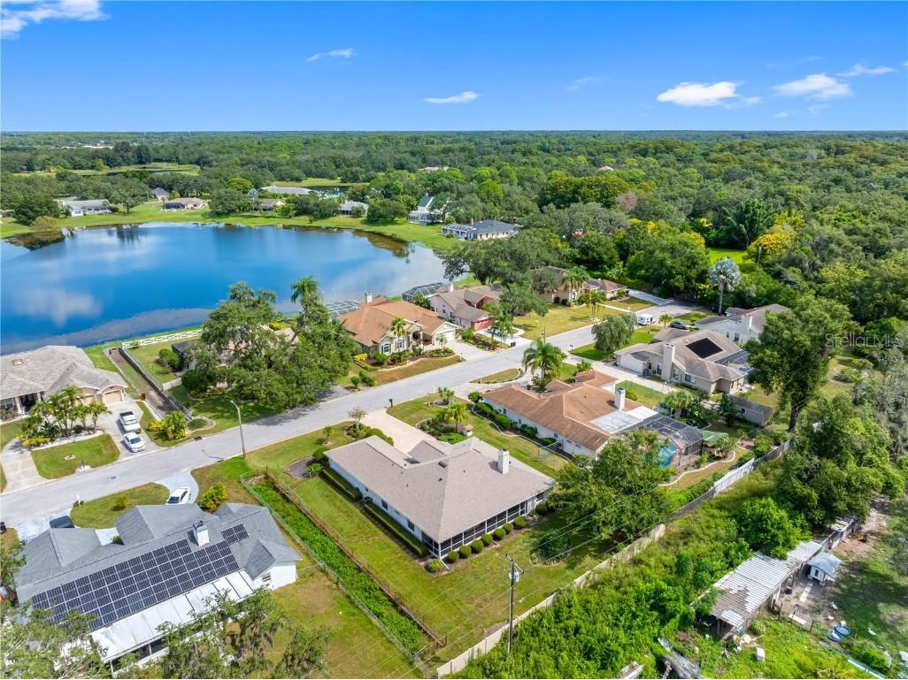 8518 Thrasher Court New Port Richey FL 34654 TB8428568 image54