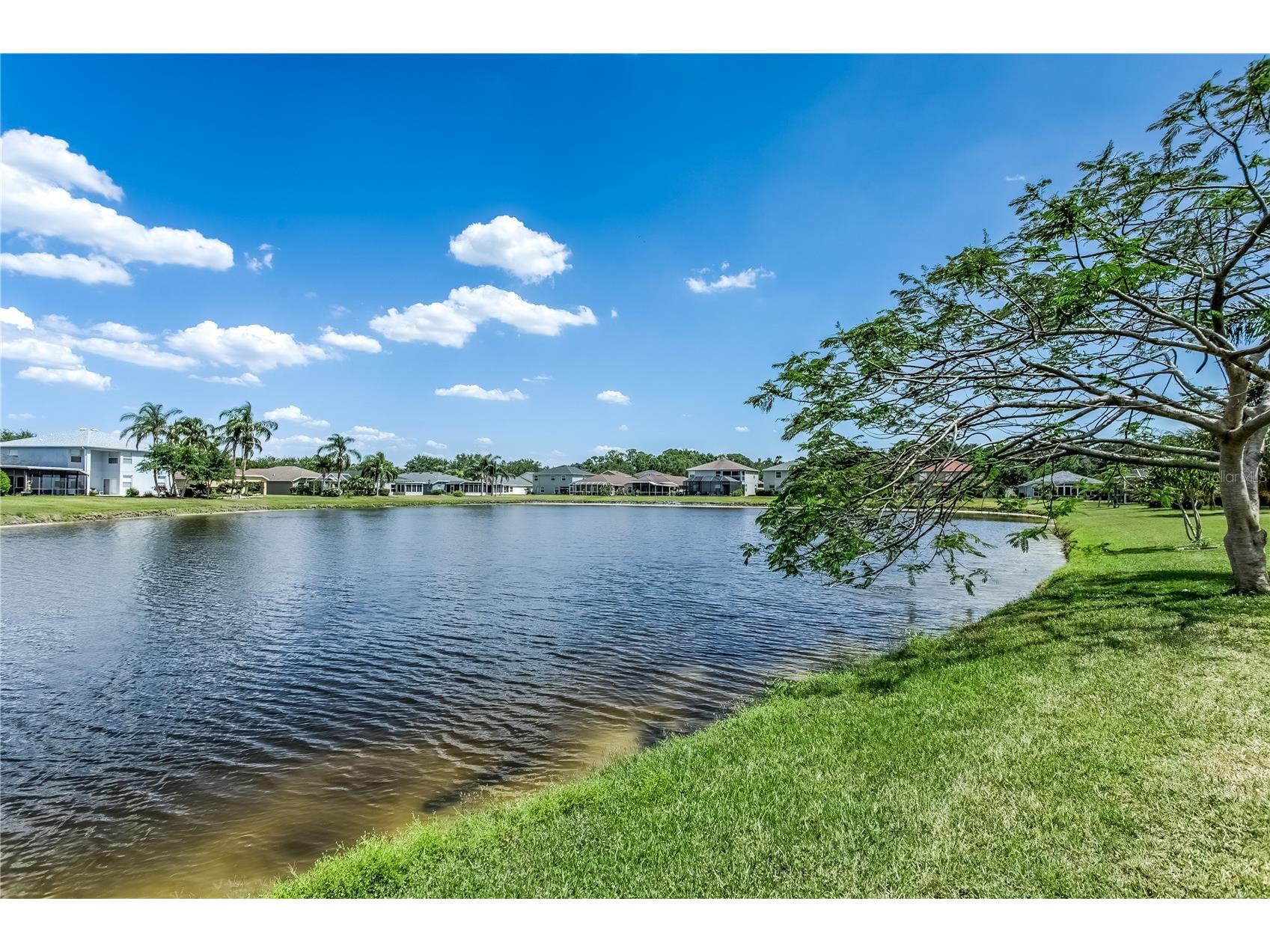 8518 Tidal Bay Lane Tampa FL 33635 TB8511684 image16