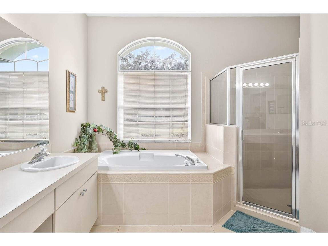 8518 W Knights Griffin Road Plant City FL 33565 TB8427995 image41