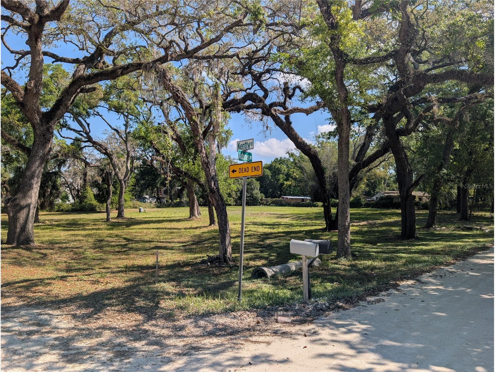 8519 Adonis Rd New Port Richey FL 34654 W7884327 image1