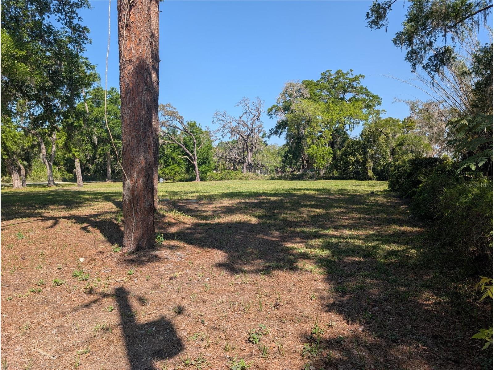 8519 Adonis Rd New Port Richey FL 34654 W7884327 image2