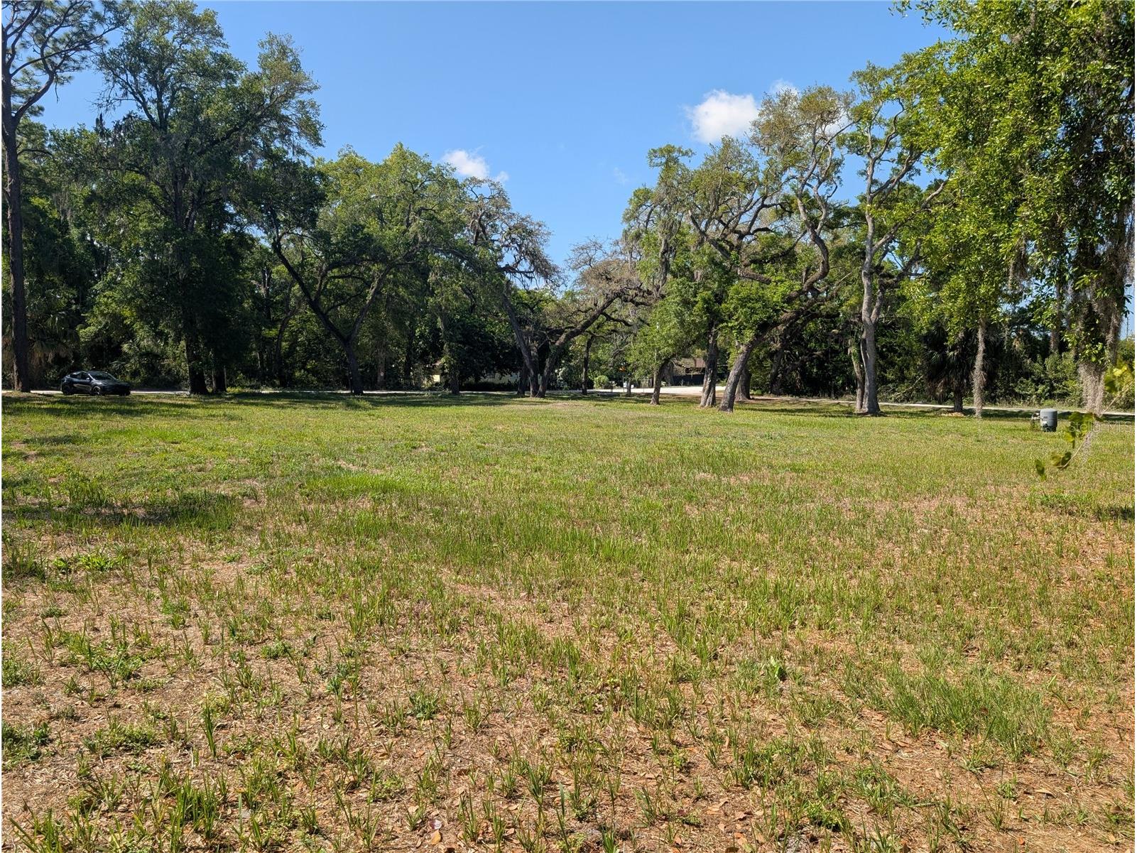 8519 Adonis Rd New Port Richey FL 34654 W7884327 image3