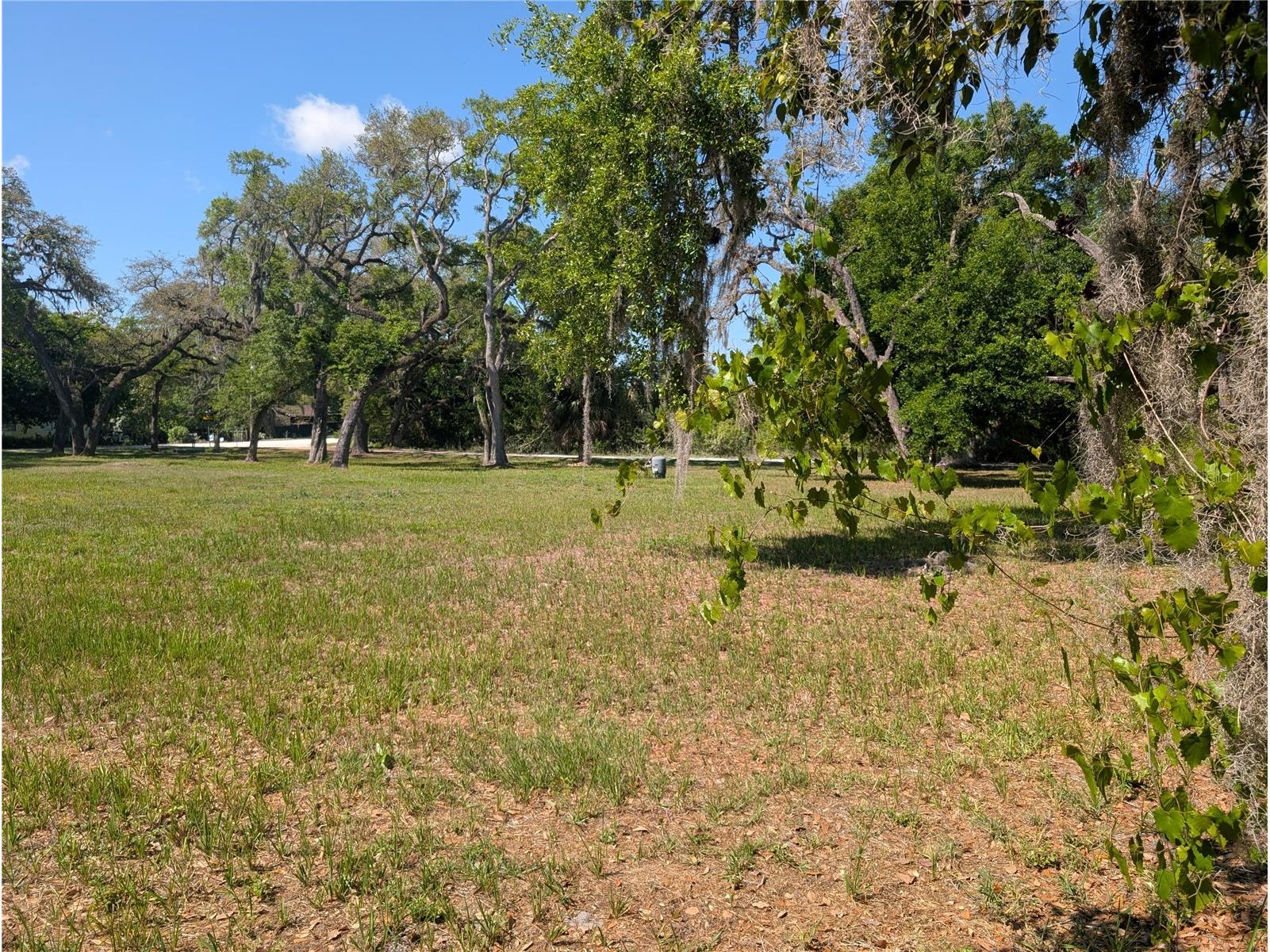 8519 Adonis Rd New Port Richey FL 34654 W7884327 image4