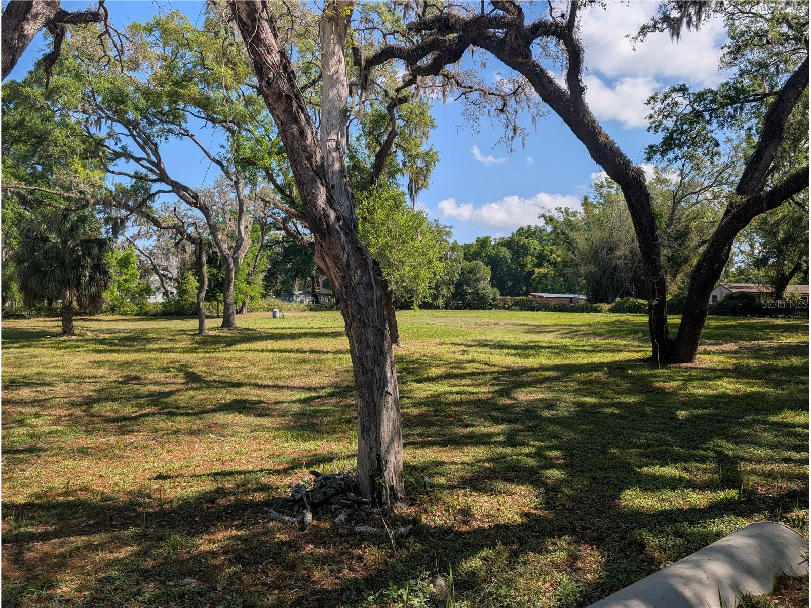 8519 Adonis Rd New Port Richey FL 34654 W7884327 image5