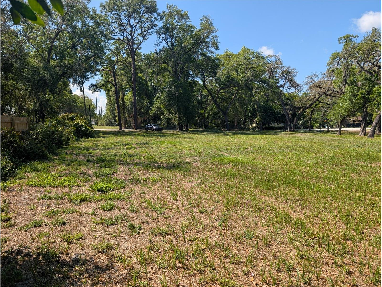 8519 Adonis Rd New Port Richey FL 34654 W7884327 image6