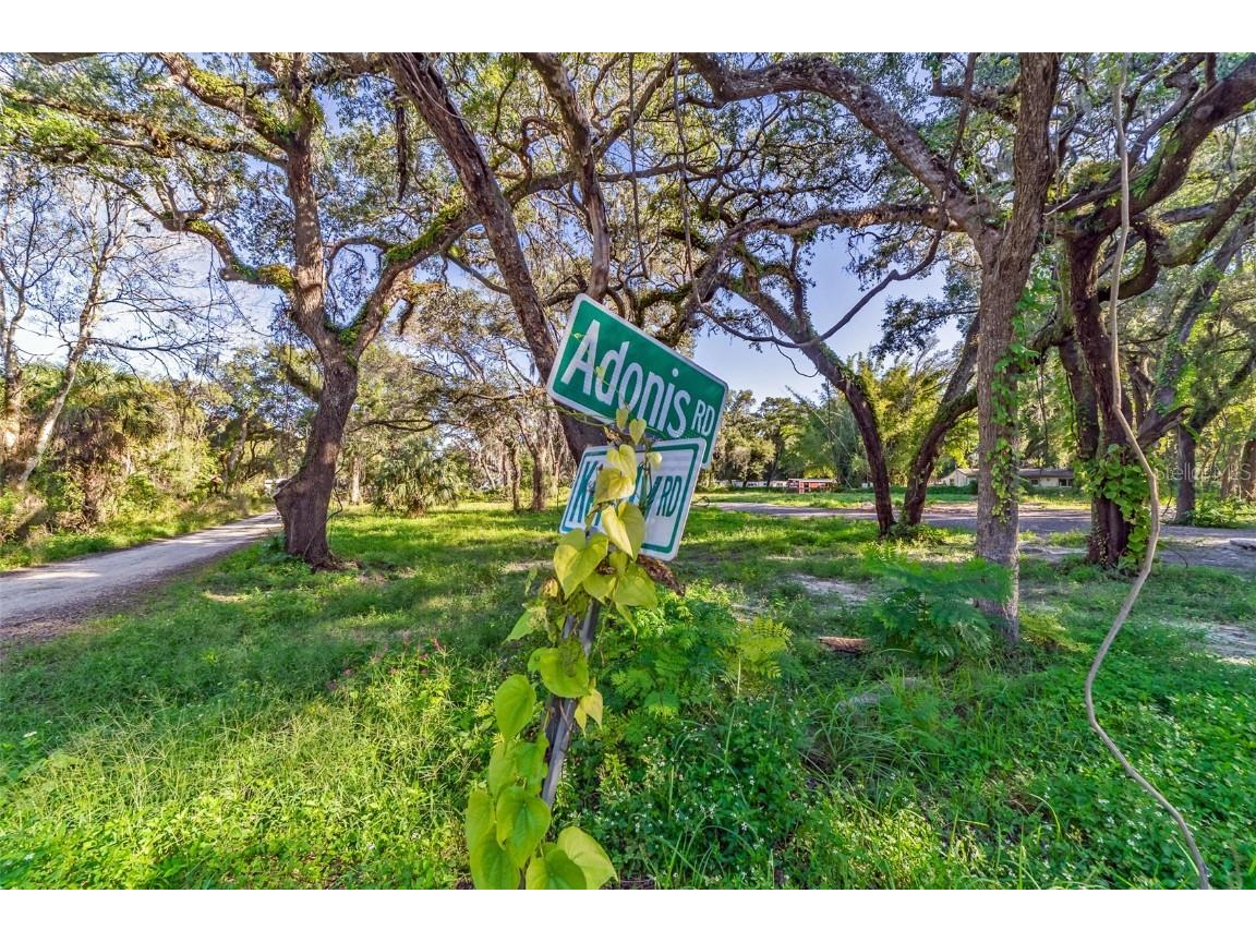 8519 Adonis Road New Port Richey FL 34654 U8142511 image1