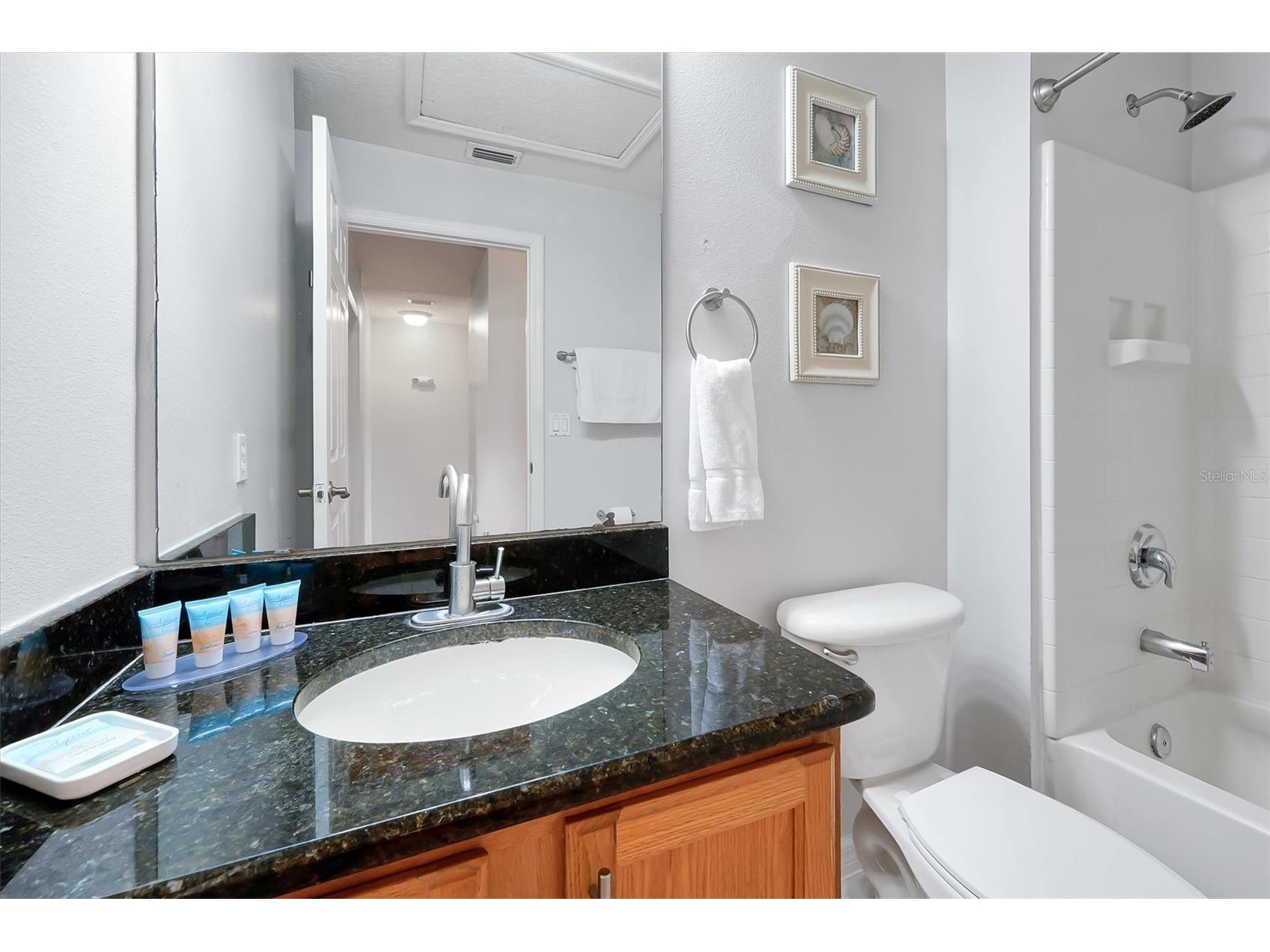 8519 Bay Lilly Loop Kissimmee FL 34747 O6379015 image28