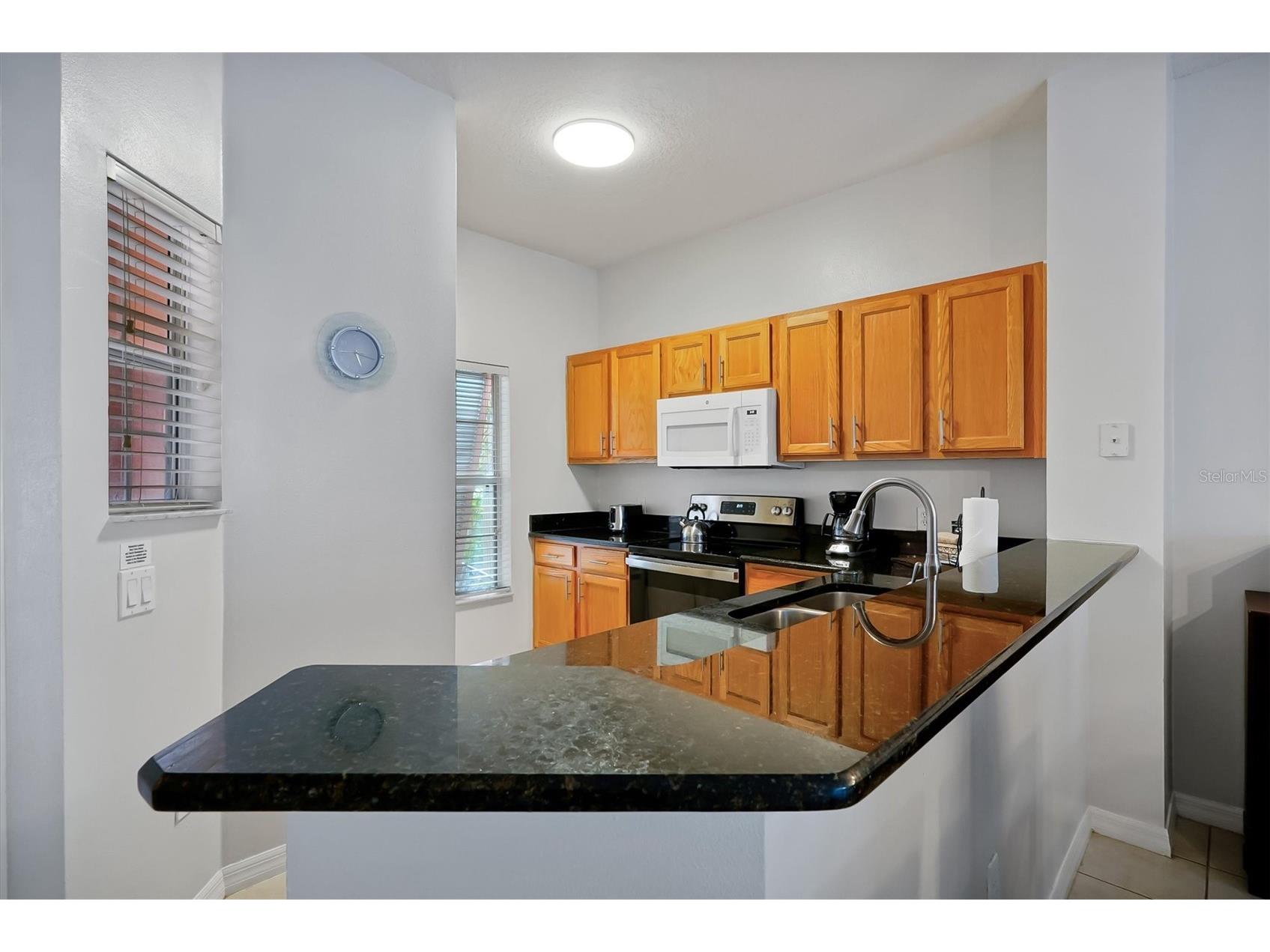 8519 Bay Lilly Loop Kissimmee FL 34747 O6379015 image6