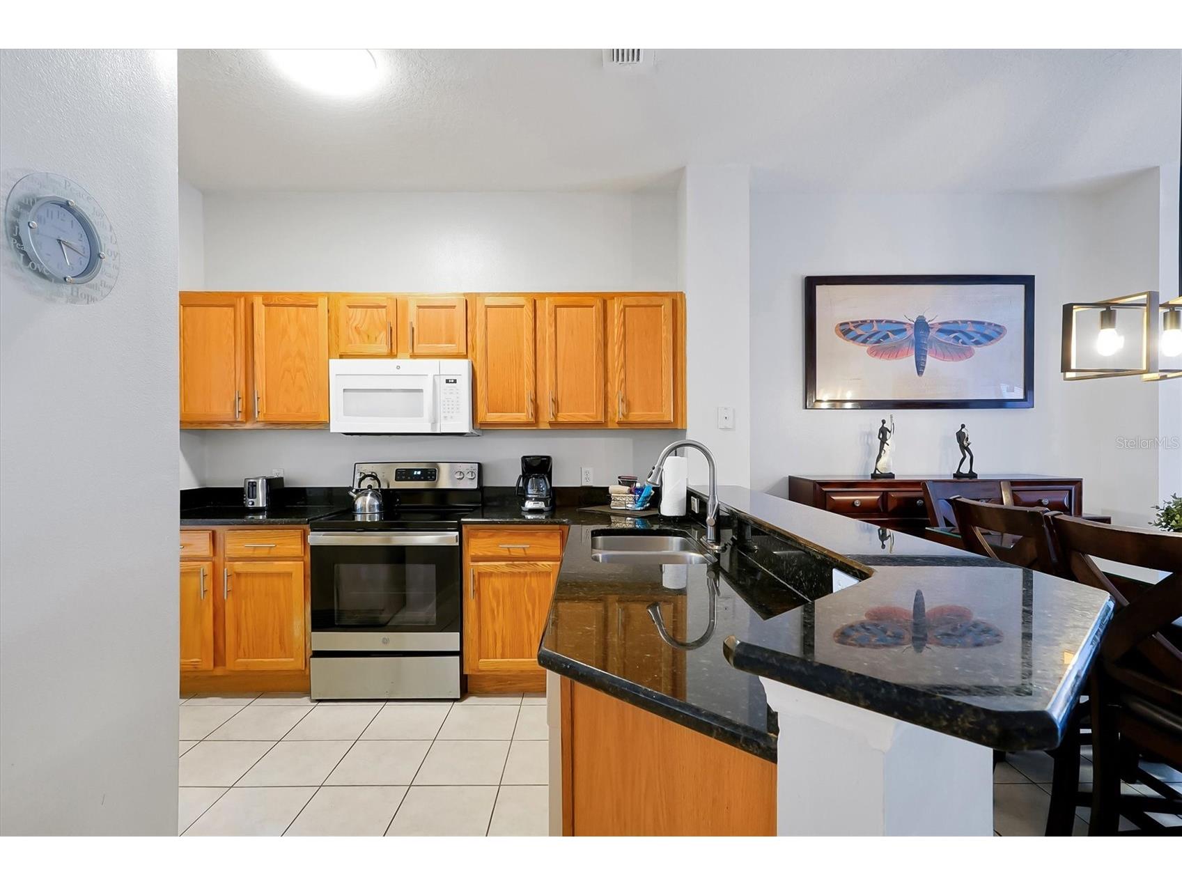 8519 Bay Lilly Loop Kissimmee FL 34747 O6379015 image7