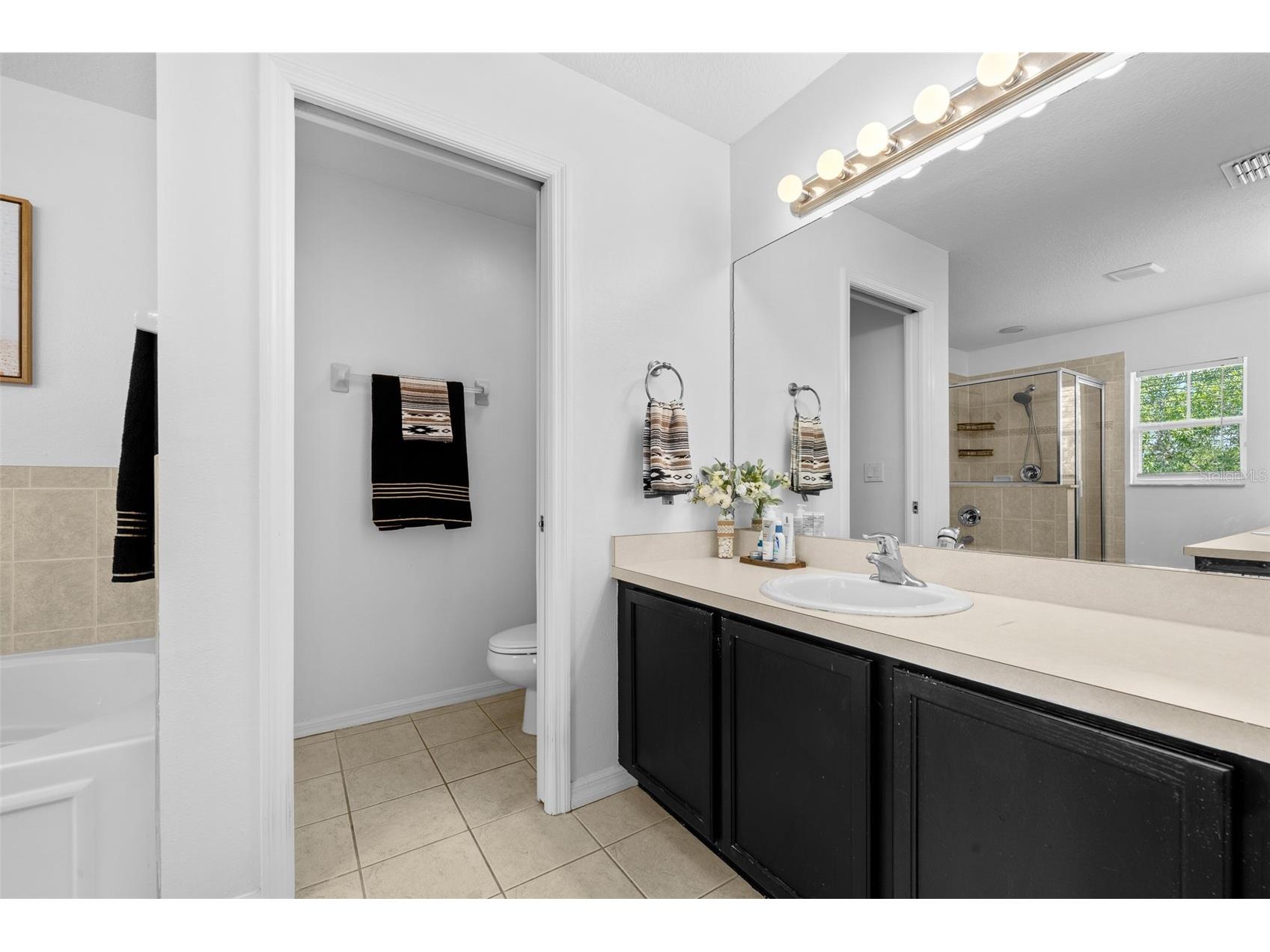 8519 Broken Willow Court Tampa FL 33647 TB8501618 image27