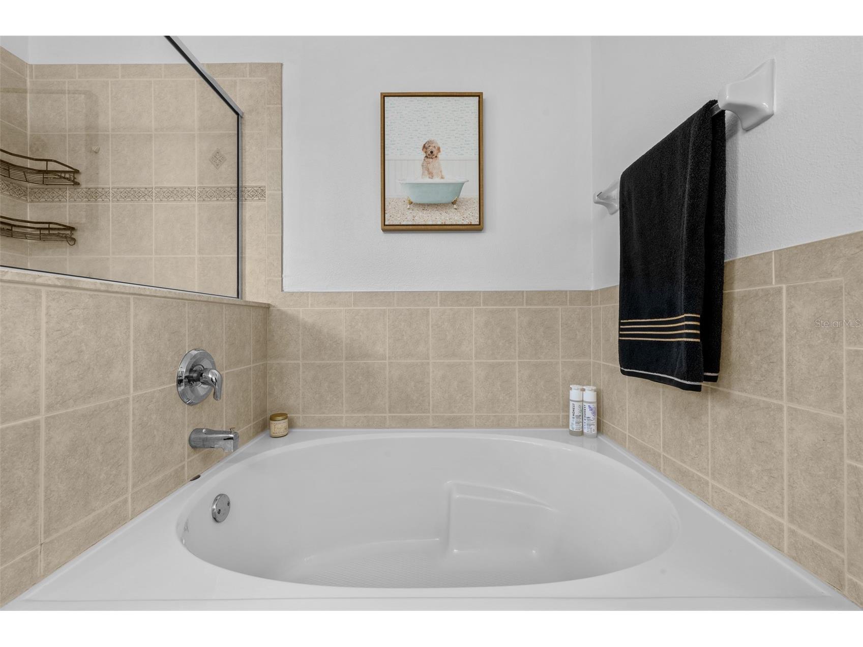 8519 Broken Willow Court Tampa FL 33647 TB8501618 image28