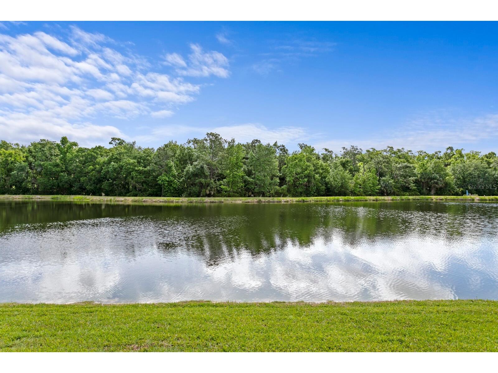 8519 Portage Avenue Tampa FL 33647 TB8496039 image3