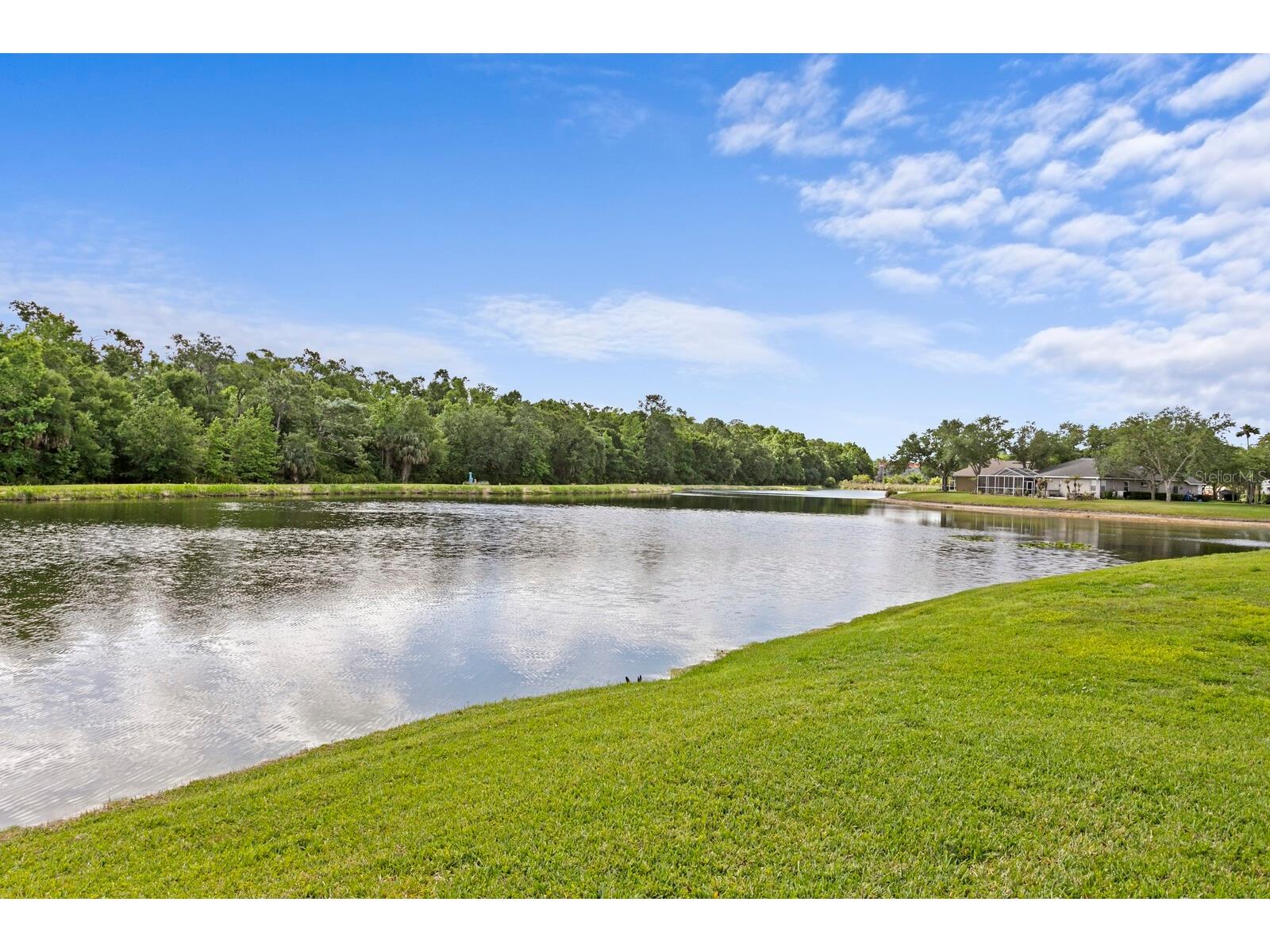 8519 Portage Avenue Tampa FL 33647 TB8496039 image4