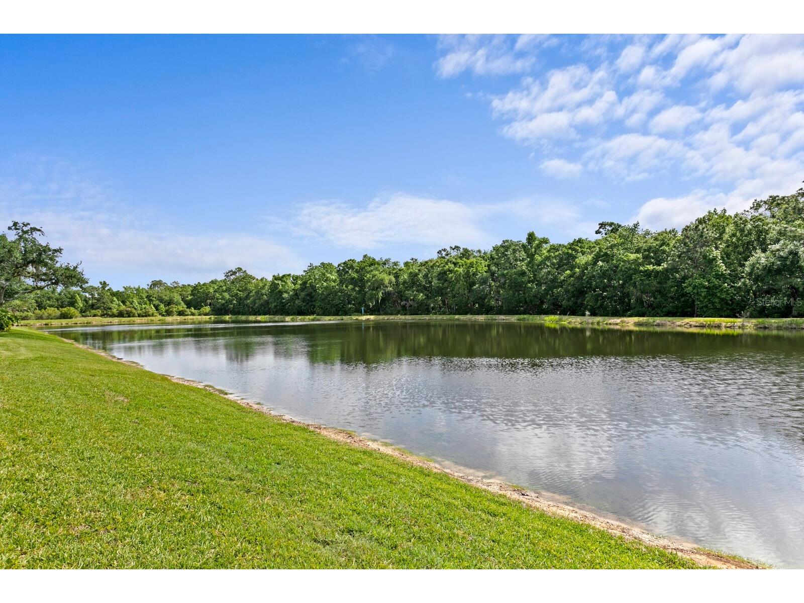 8519 Portage Avenue Tampa FL 33647 TB8496039 image52
