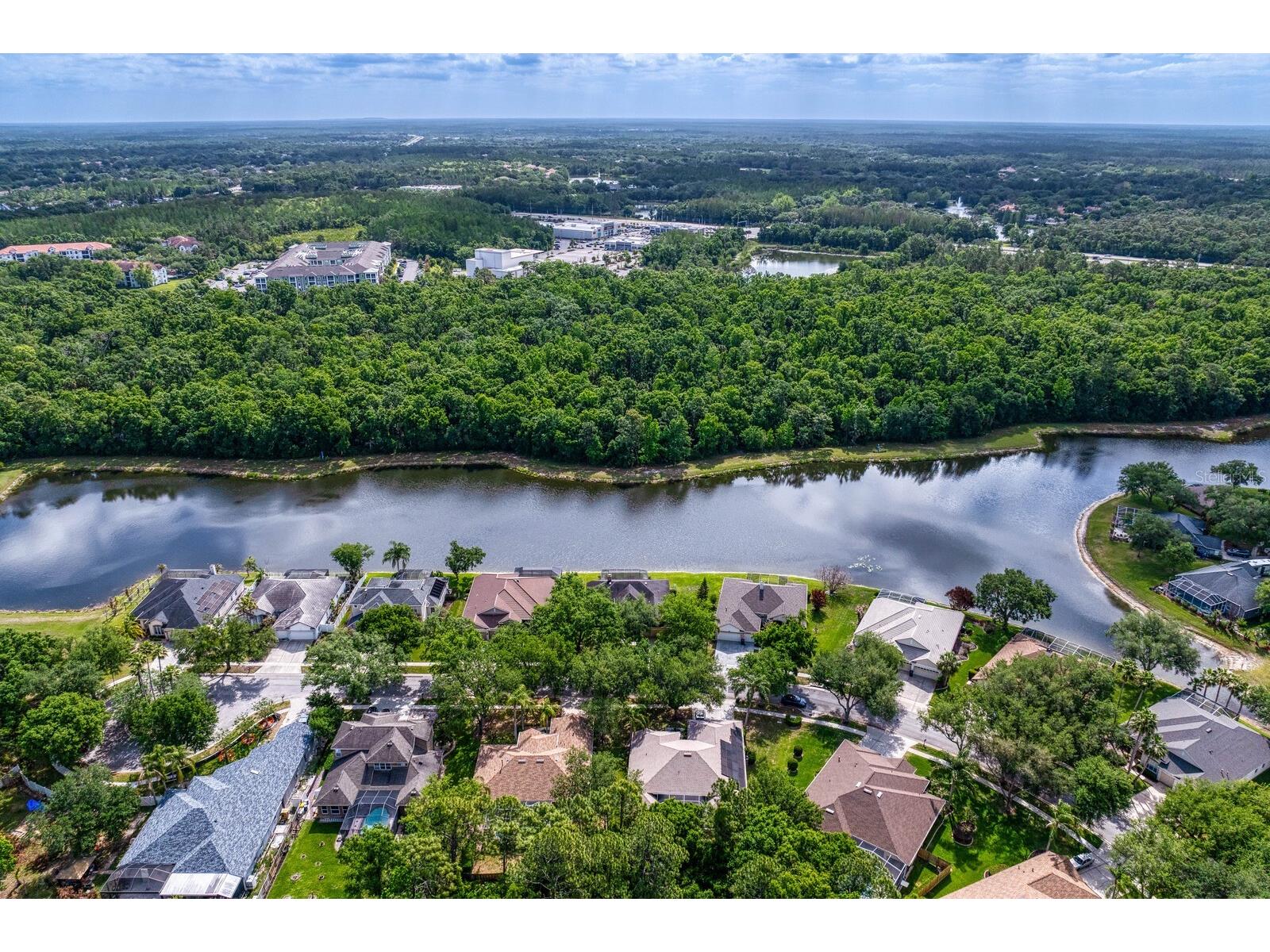 8519 Portage Avenue Tampa FL 33647 TB8496039 image61