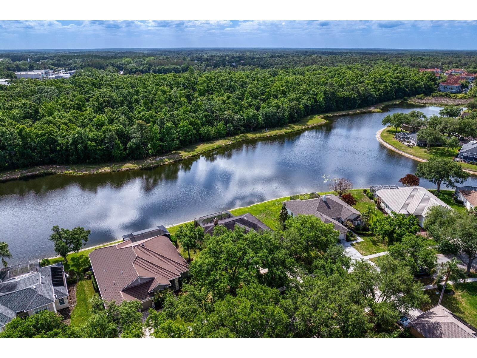 8519 Portage Avenue Tampa FL 33647 TB8496039 image62