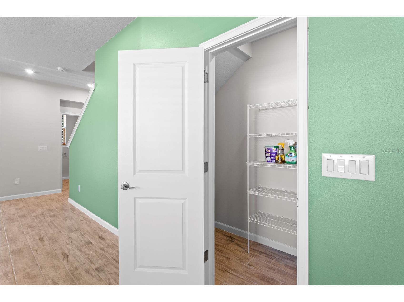 8519 Primrose Willow Place Odessa FL 33556 TB8475194 image20