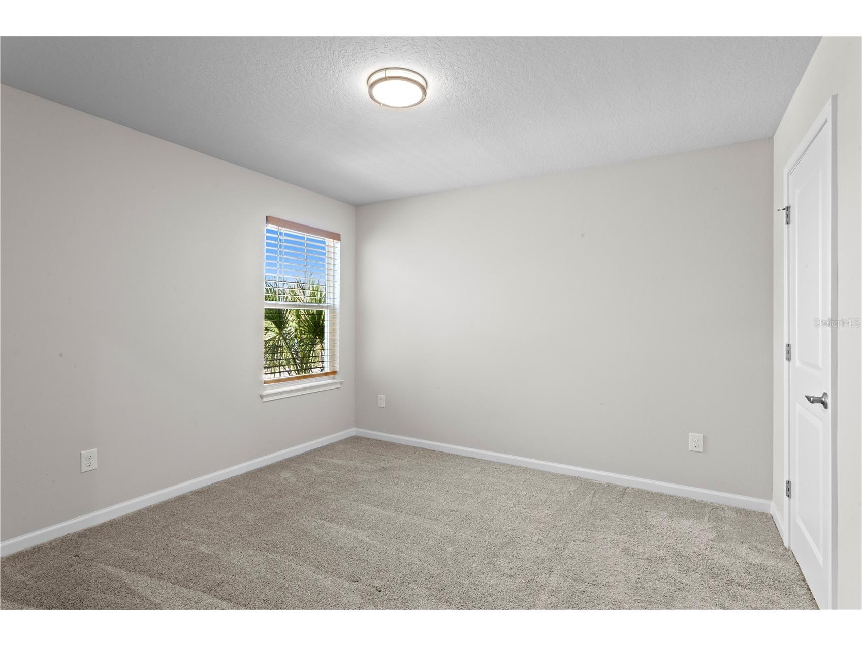 8519 Primrose Willow Place Odessa FL 33556 TB8475194 image32