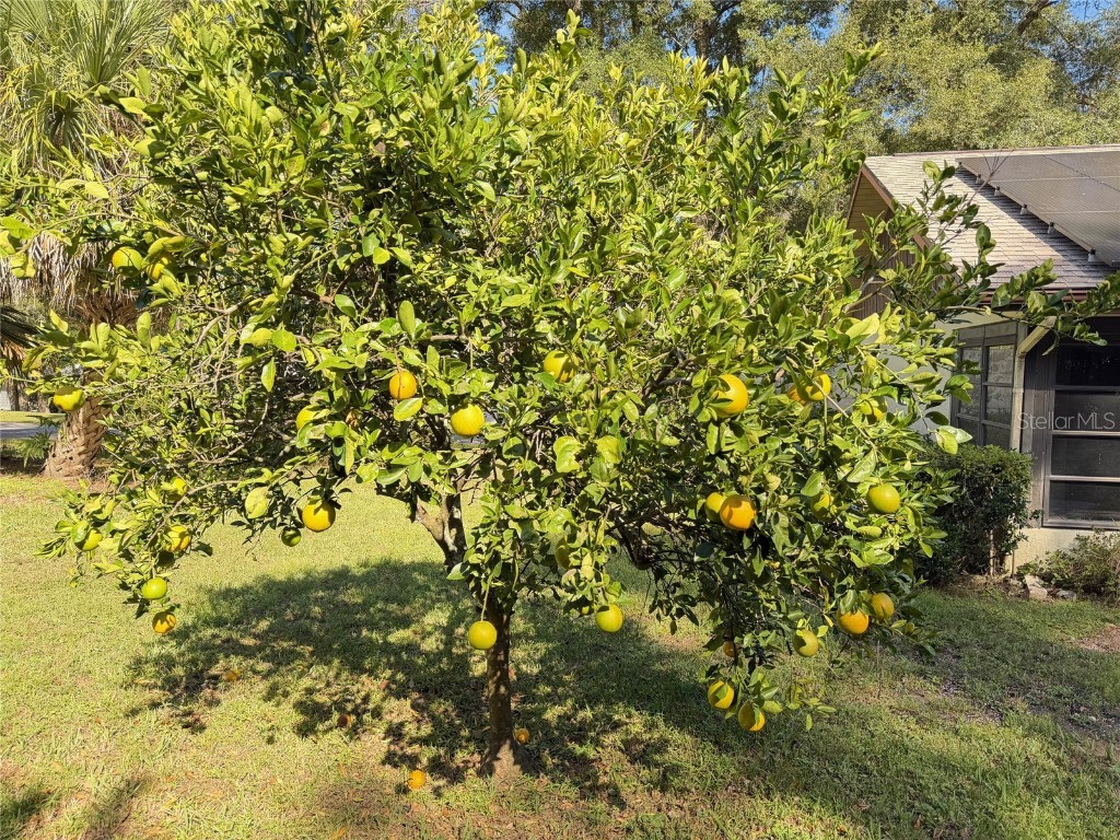 8519 SW 197th Court Road Dunnellon FL 34432 OM712558 image38